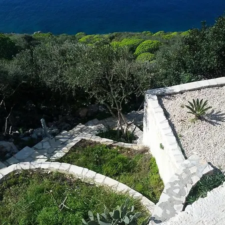 Guzel Elma * Kaş